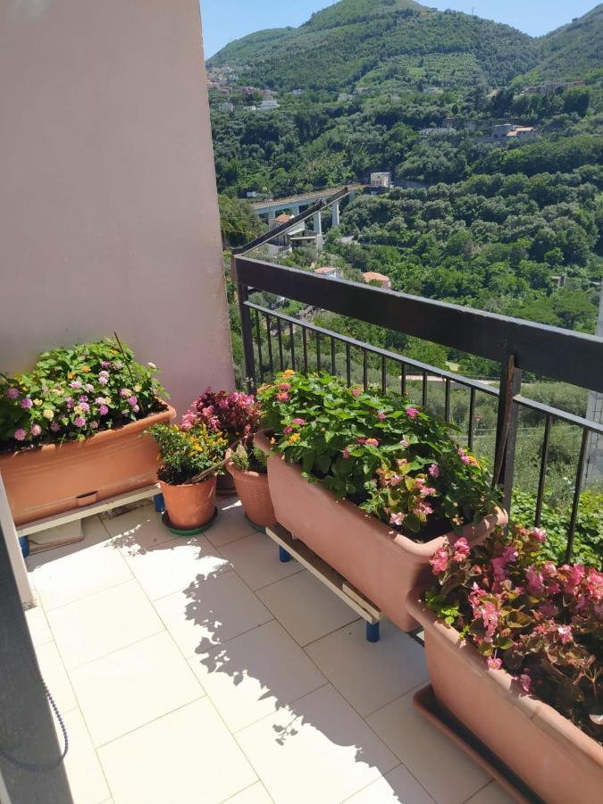 B&B Antonietta Vico Equense Eksteriør billede